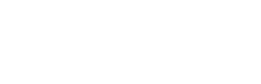 Visa-logo-white.webp