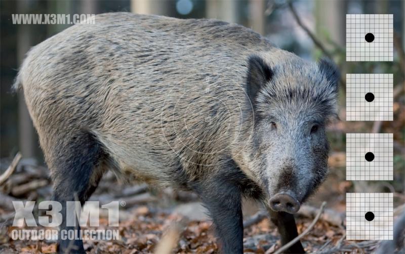 X3M1 Skyteskive Villsvin (86x54cm)