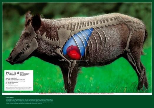 Direct Hit Anatomisk Skyteskive Villsvin (100x70cm)