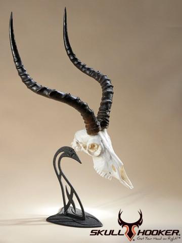 Skull Hooker Table Hooker